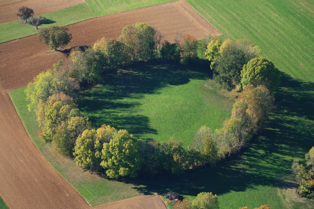 Luftbild Maulburg - Herbstfarben im Baumkreis auf dem Dinkelberg bei Maulburg in Baden-Württemberg