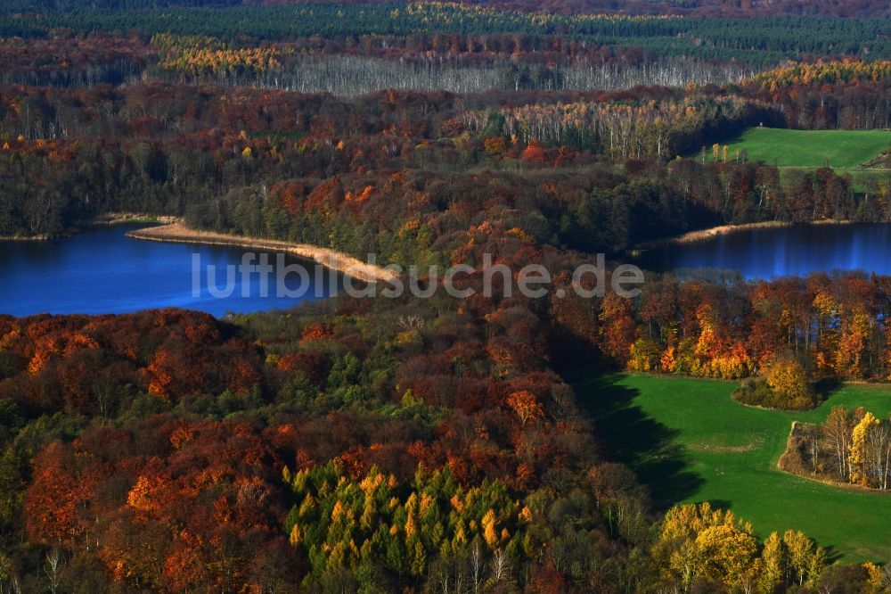 Friedrichswalde aus der Vogelperspektive: Herbstlandschaft am Ufer Großer und Kleiner Präßnicksee bei Friedrichswalde im Bundesland Brandenburg