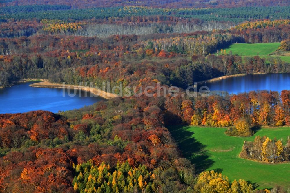 Luftbild Friedrichswalde - Herbstlandschaft am Ufer Großer und Kleiner Präßnicksee bei Friedrichswalde im Bundesland Brandenburg