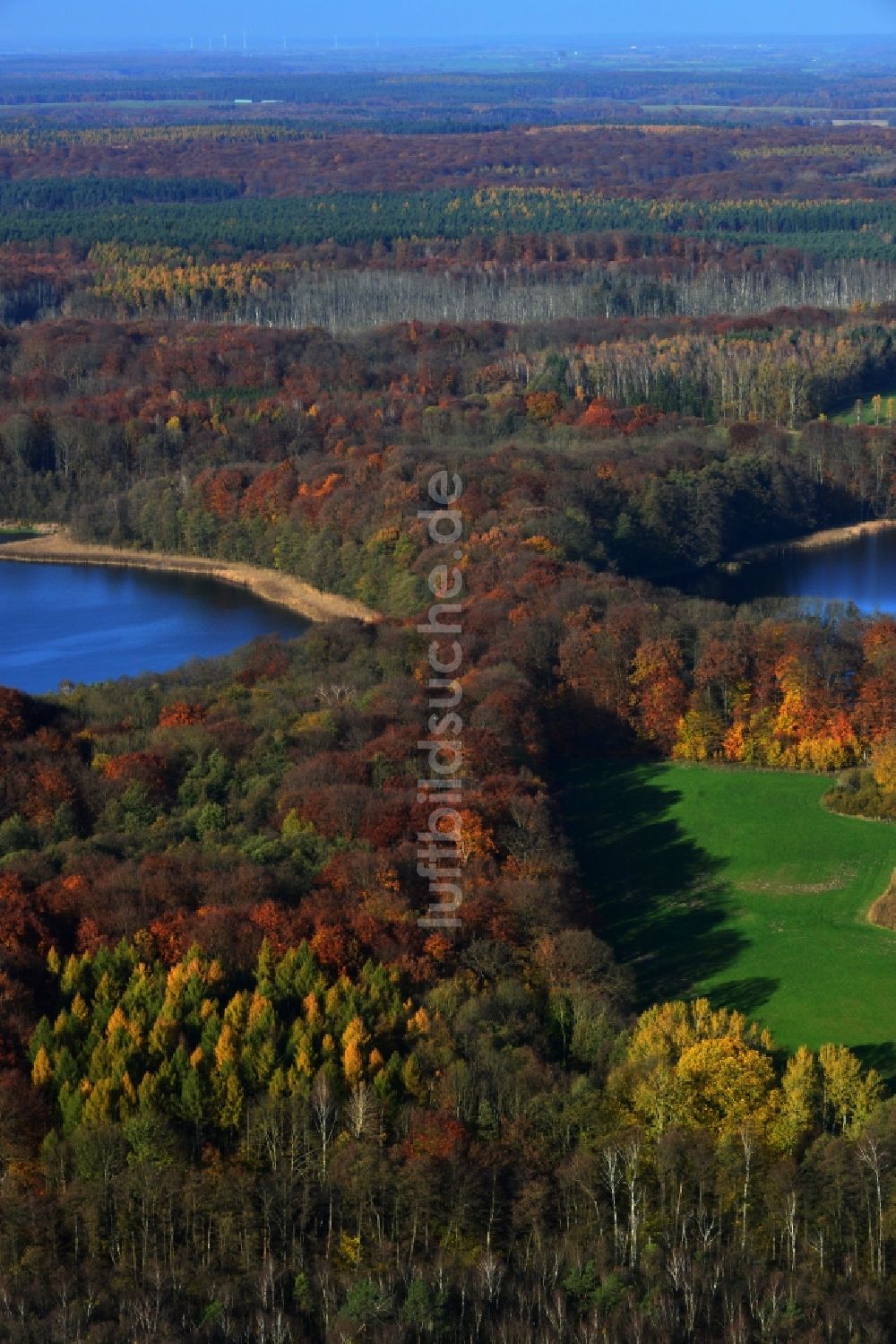 Luftaufnahme Friedrichswalde - Herbstlandschaft am Ufer Großer und Kleiner Präßnicksee bei Friedrichswalde im Bundesland Brandenburg