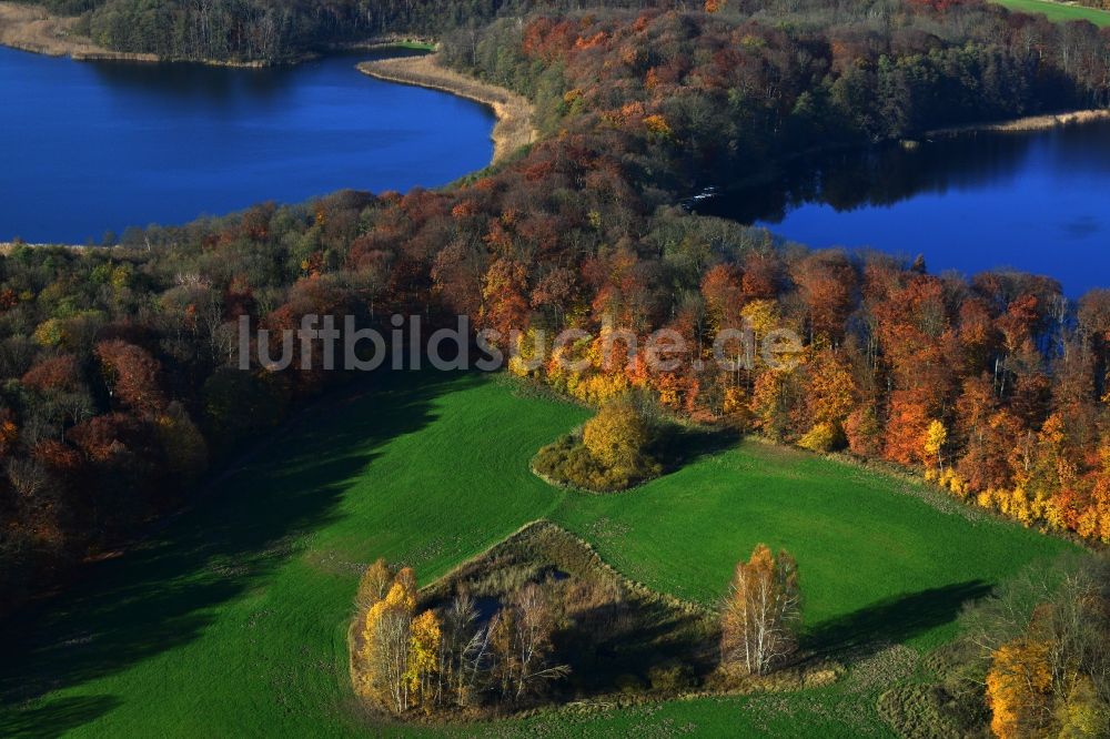 Luftbild Friedrichswalde - Herbstlandschaft am Ufer Großer und Kleiner Präßnicksee bei Friedrichswalde im Bundesland Brandenburg