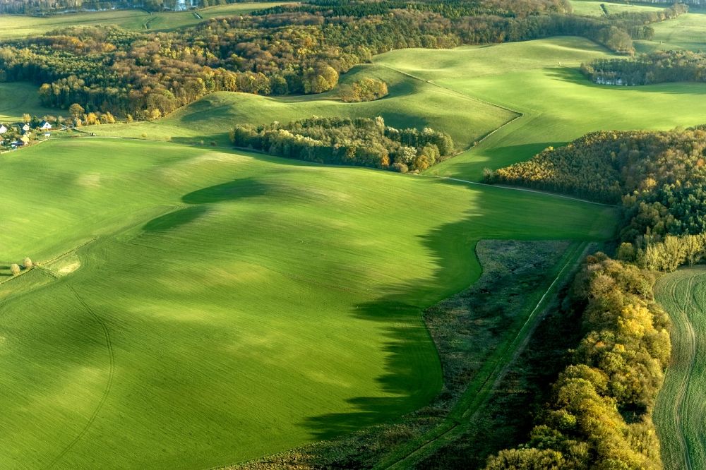 Prillwitz von oben - Herbstlandschaft mit Wiesen und Feldern bei Prillwitz im Bundesland Mecklenburg-Vorpommern