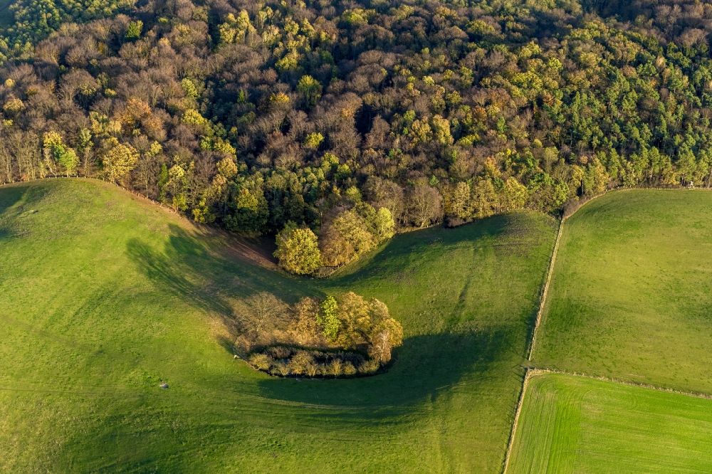 Luftaufnahme Prillwitz - Herbstlandschaft mit Wiesen und Feldern bei Prillwitz im Bundesland Mecklenburg-Vorpommern