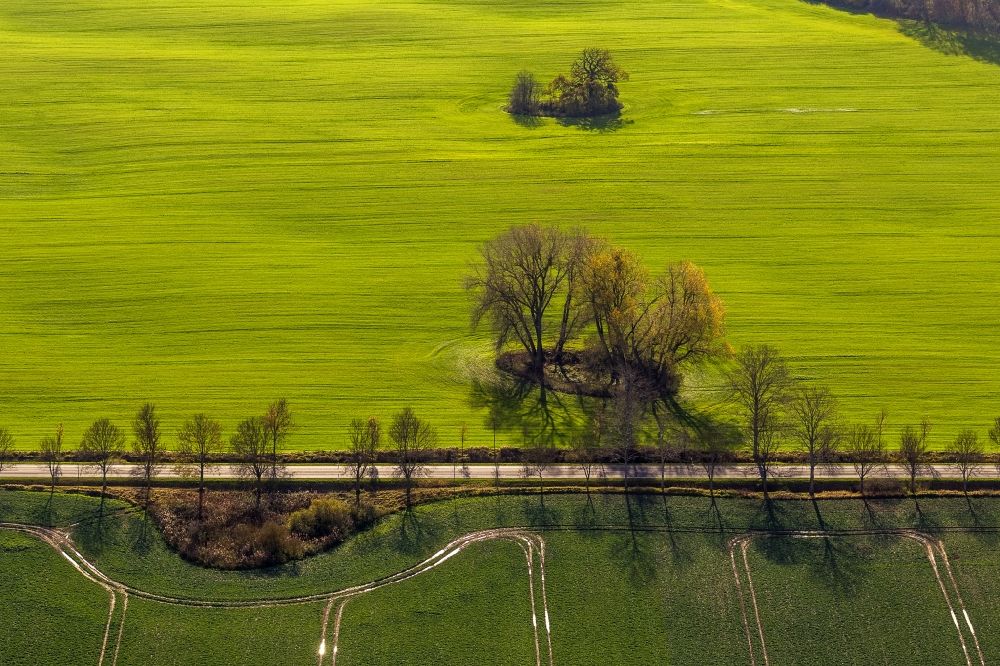 Luftaufnahme Penzlin OT Marihn - Herbstlandschaft mit Wiesen und Feldern beim Ortsteil Marihn in Penzlin im Bundesland Mecklenburg-Vorpommern
