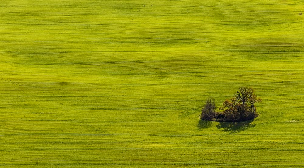 Luftbild Penzlin OT Marihn - Herbstlandschaft mit Wiesen und Feldern beim Ortsteil Marihn in Penzlin im Bundesland Mecklenburg-Vorpommern
