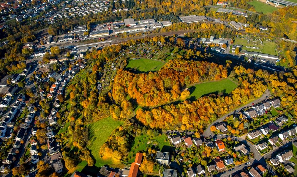 Arnsberg aus der Vogelperspektive: Herbstlich bunt gefärbte Laubbaum- Baumspitzen in einem Waldgebiet in Arnsberg im Bundesland Nordrhein-Westfalen