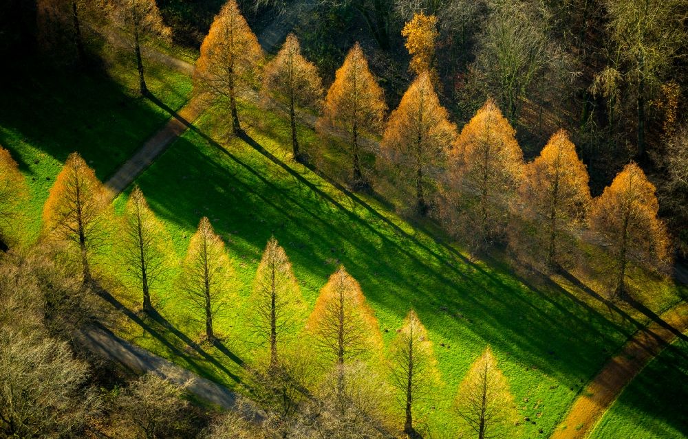 Gelsenkirchen von oben - Herbstlich bunt gefärbte Laubbaum- Baumspitzen in einem Waldgebiet in Gelsenkirchen im Bundesland Nordrhein-Westfalen