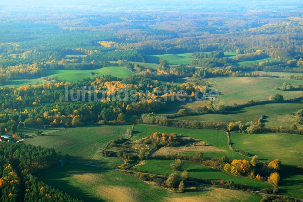 Carpin aus der Vogelperspektive: Herbstlich bunt gefärbte Laubbaum- Baumspitzen in einem Waldgebiet mit landwirtschaftlichen Feldern in Carpin im Bundesland Mecklenburg-Vorpommern, Deutschland