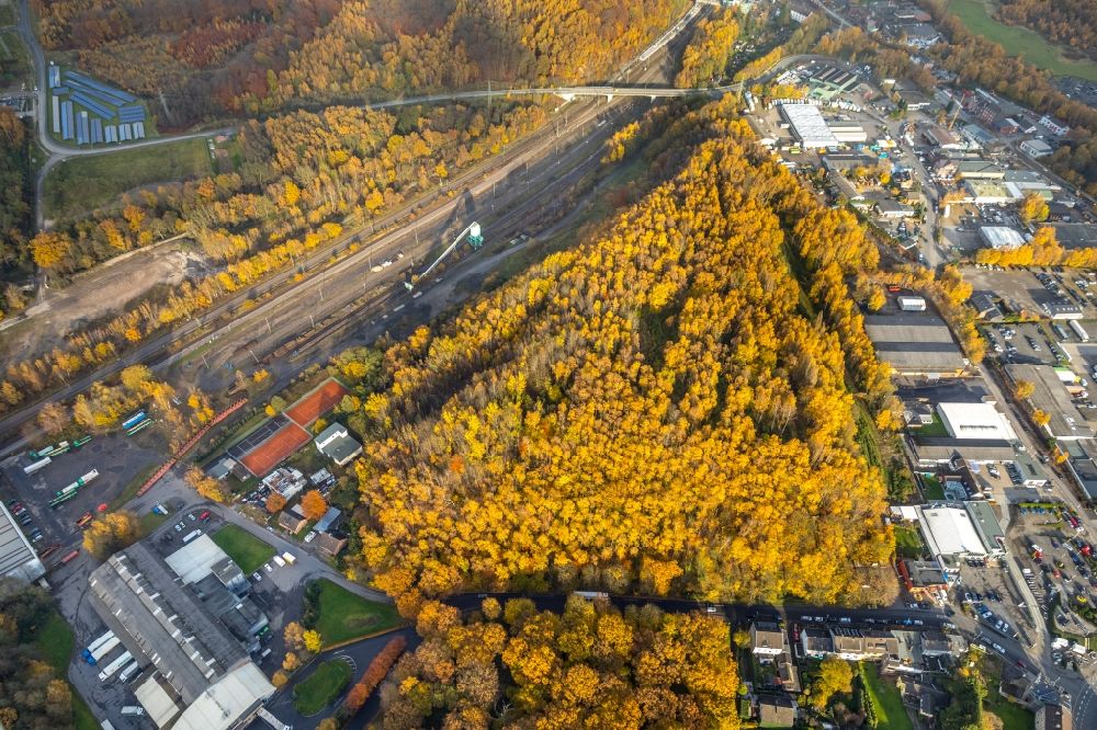 Luftbild Stolberg (Rheinland) - Herbstlich bunt gefärbte Laubbaum- Baumspitzen in einem Waldgebiet in Stolberg (Rheinland) im Bundesland Nordrhein-Westfalen, Deutschland