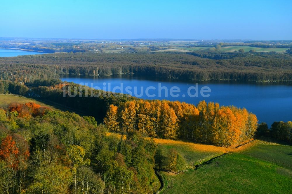 Penzlin von oben - Herbstlich bunt gefärbte Waldgebiete am Ufer des See Lieps in Penzlin im Bundesland Mecklenburg-Vorpommern, Deutschland