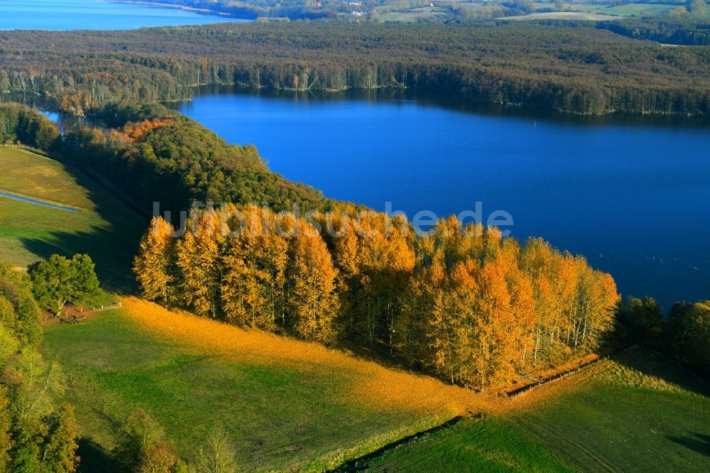 Luftbild Penzlin - Herbstlich bunt gefärbte Waldgebiete am Ufer des See Lieps in Penzlin im Bundesland Mecklenburg-Vorpommern, Deutschland