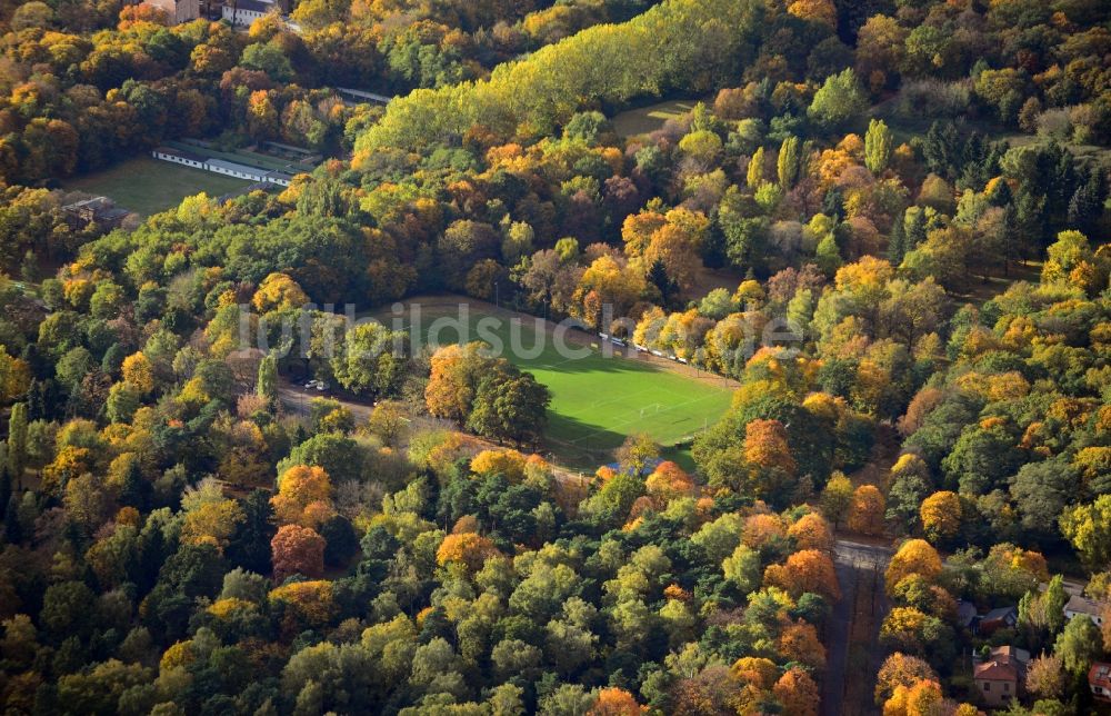 Berlin von oben - Herbstlich gefärbte Baumkronen umranden den Paul-Zobel-Sportplatz in Berlin - Pankow