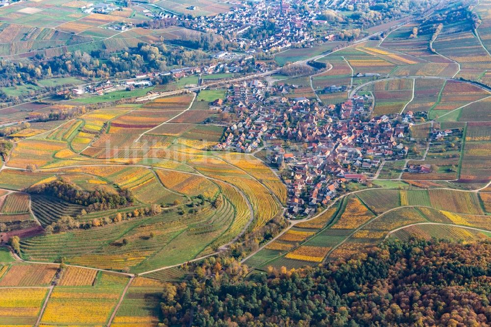Luftbild Birkweiler - Herbstlich verfärbte Weinberge der Lage Kastanienbusch umsäumen das Siedlungsgebiet des Dorfes in Birkweiler im Bundesland Rheinland-Pfalz, Deutschland