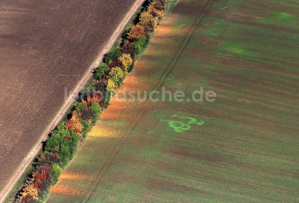 Luftbild Weimar - Herbstliche Felder- Landschaft bei Weimar in Thüringen.