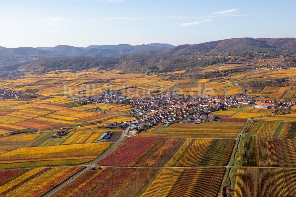 Kallstadt von oben - Herbstliche verfärbte Vegetationsansicht der Weinberge um das Winzerdorf in Kallstadt im Bundesland Rheinland-Pfalz, Deutschland