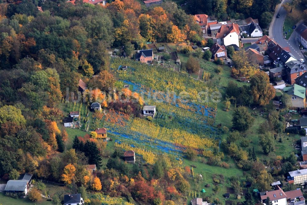 Luftbild Bad Sulza - Herbstliche Wald- und Feld- Landschaft bei Bad Sulza mit Weinfeldern in Thüringen