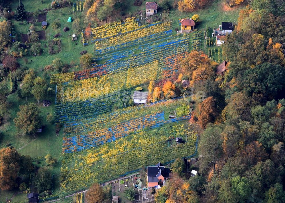 Bad Sulza von oben - Herbstliche Wald- und Feld- Landschaft bei Bad Sulza mit Weinfeldern in Thüringen