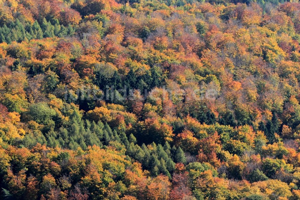 Luftaufnahme Hohenfelden - Herbstliche Wald- Landschaft bei Hohenfelden in Thüringen.
