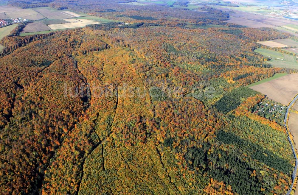 Luftaufnahme Tonndorf - Herbstliche Wald- Landschaft bei Tonndorf in Thüringen