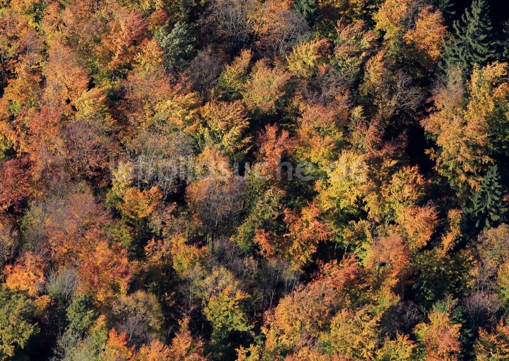 Tonndorf aus der Vogelperspektive: Herbstliche Wald- Landschaft bei Tonndorf in Thüringen