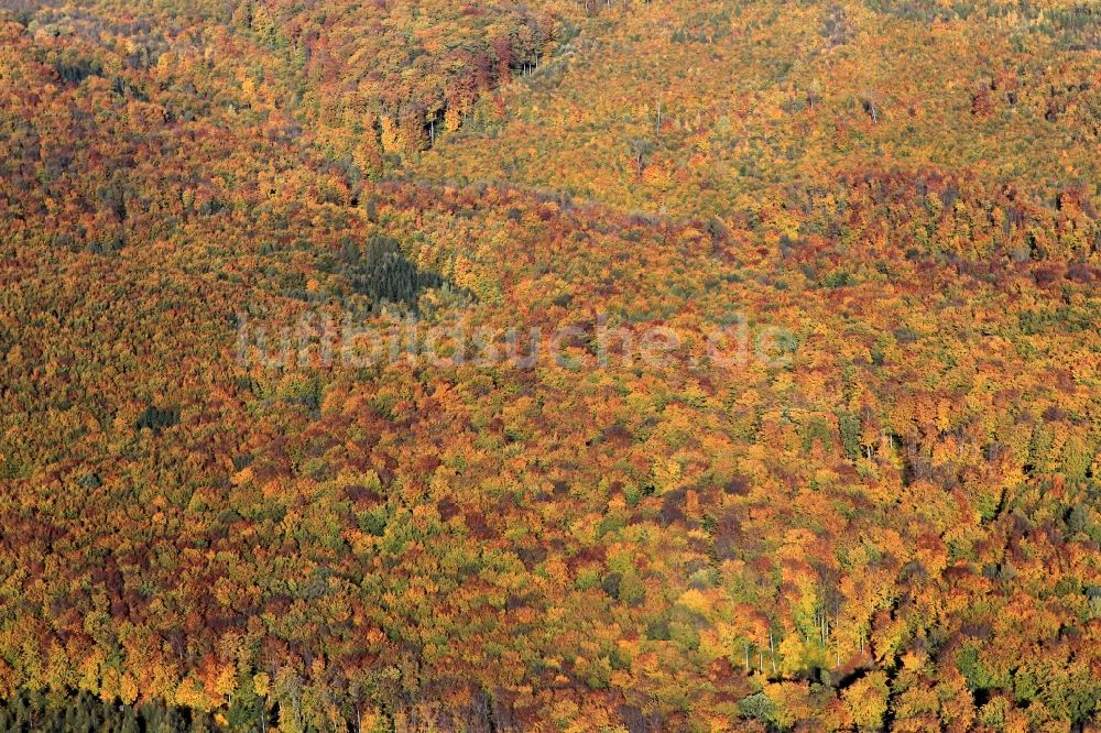 Luftaufnahme Tonndorf - Herbstliche Wald- Landschaft bei Tonndorf in Thüringen