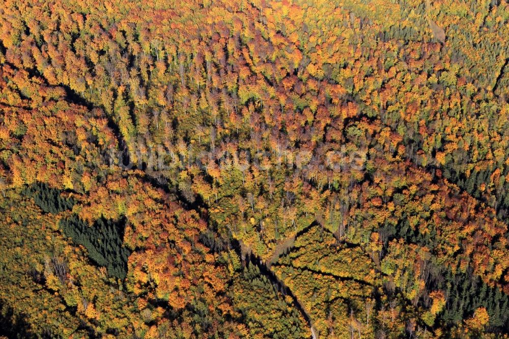 Tonndorf von oben - Herbstliche Wald- Landschaft bei Tonndorf in Thüringen
