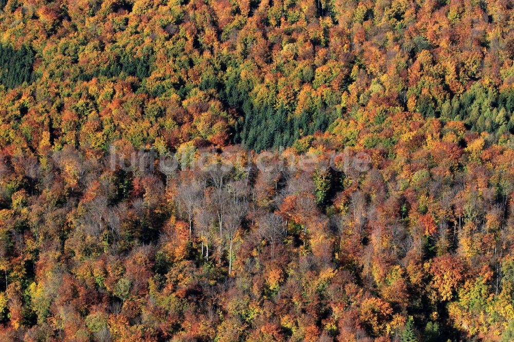 Tonndorf aus der Vogelperspektive: Herbstliche Wald- Landschaft bei Tonndorf in Thüringen