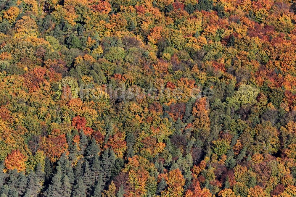 Luftbild Tonndorf - Herbstliche Wald- Landschaft bei Tonndorf in Thüringen