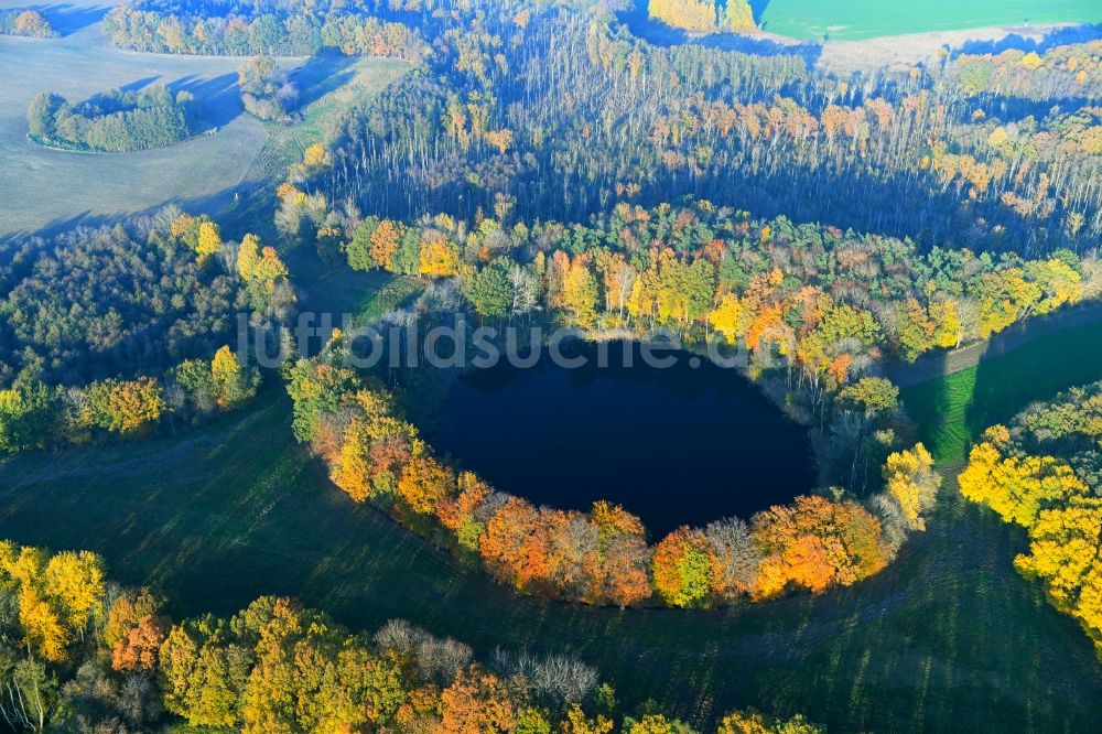 Eixen von oben - Herbstliche Waldgebiete am Ufer des See Krebssee in Eixen im Bundesland Mecklenburg-Vorpommern, Deutschland