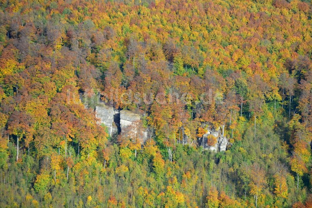 Dielmissen von oben - Herbstliches Naturschutzgebiet mit dem Tuchtberg in Dielmissen im Bundesland Niedersachsen