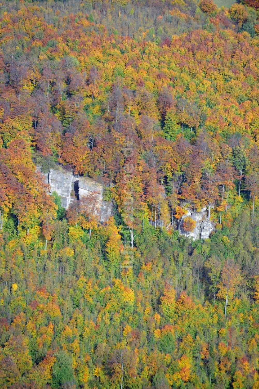 Luftbild Dielmissen - Herbstliches Naturschutzgebiet mit dem Tuchtberg in Dielmissen im Bundesland Niedersachsen