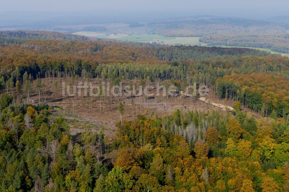 Luftaufnahme Neu-Eichenberg - Herbstluftbild Abgestorbene Baumspitzen in einem Waldgebiet in Neu-Eichenberg im Bundesland Hessen, Deutschland