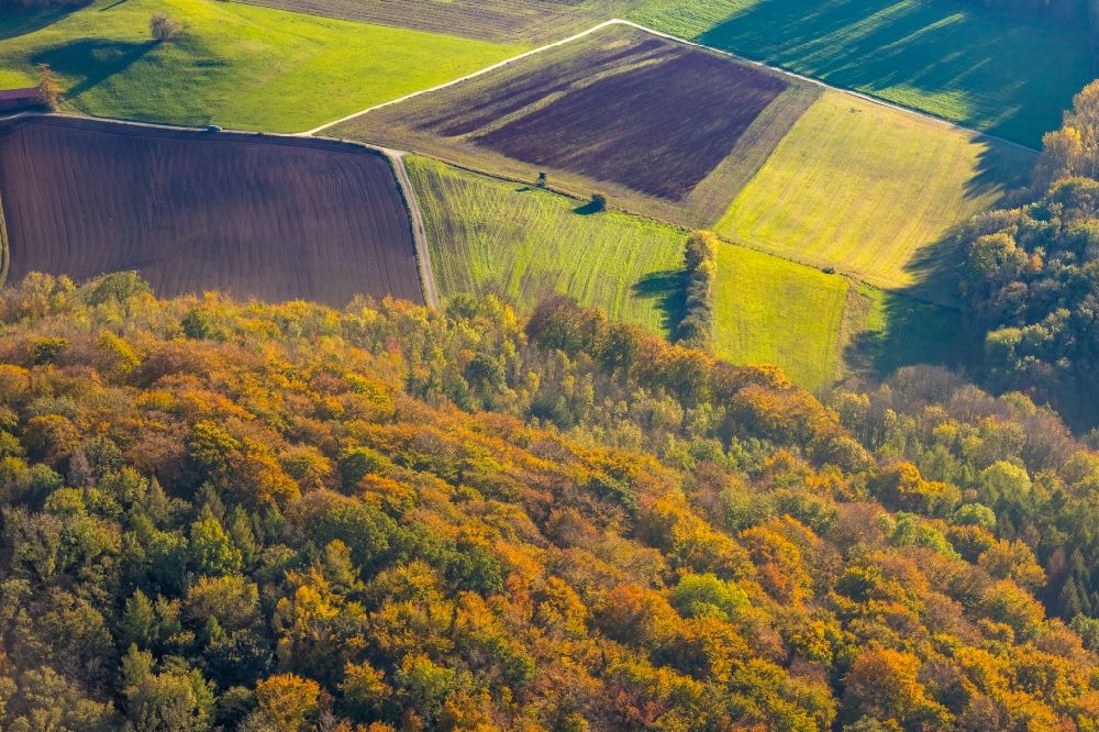 Arnsberg aus der Vogelperspektive: Herbstluftbild Baumspitzen in einem Waldgebiet in Arnsberg im Bundesland Nordrhein-Westfalen, Deutschland