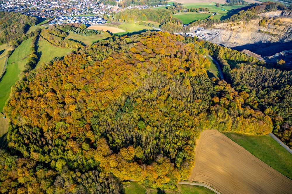 Luftaufnahme Arnsberg - Herbstluftbild Baumspitzen in einem Waldgebiet in Arnsberg im Bundesland Nordrhein-Westfalen, Deutschland