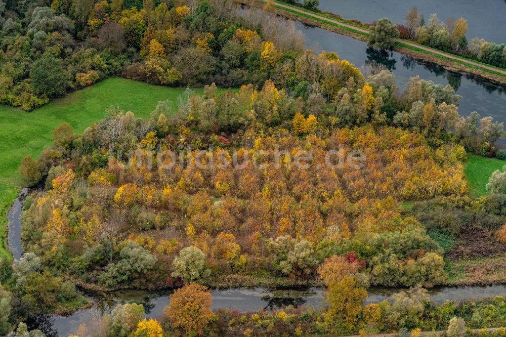 Luftaufnahme Neuried - Herbstluftbild Baumspitzen in einem Waldgebiet in Neuried im Bundesland Baden-Württemberg, Deutschland