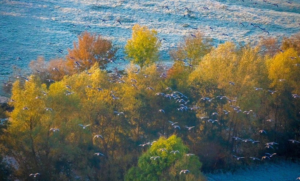 Luftbild Hamm-Heessen - Herbstluftbild Baumspitzen in einem Waldgebiet im Ortsteil Heessen in Hamm im Bundesland Nordrhein-Westfalen, Deutschland
