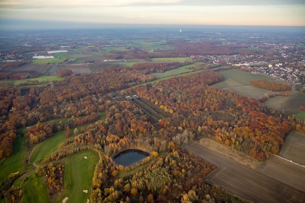 Dortmund aus der Vogelperspektive: Herbstluftbild Baumspitzen in einem Waldgebiet im Ortsteil Kurl-Süd in Dortmund im Bundesland Nordrhein-Westfalen, Deutschland