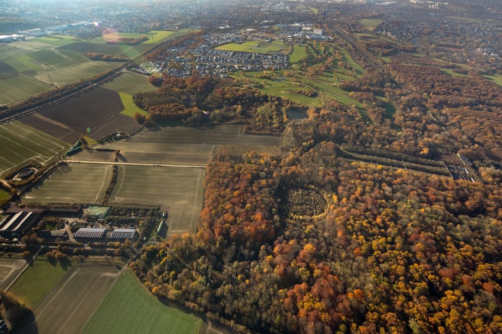 Luftaufnahme Dortmund - Herbstluftbild Baumspitzen in einem Waldgebiet im Ortsteil Kurl-Süd in Dortmund im Bundesland Nordrhein-Westfalen, Deutschland