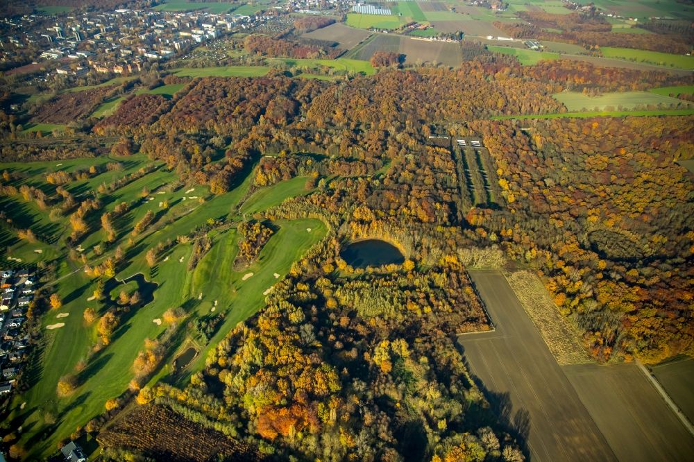 Dortmund von oben - Herbstluftbild Baumspitzen in einem Waldgebiet im Ortsteil Kurl-Süd in Dortmund im Bundesland Nordrhein-Westfalen, Deutschland