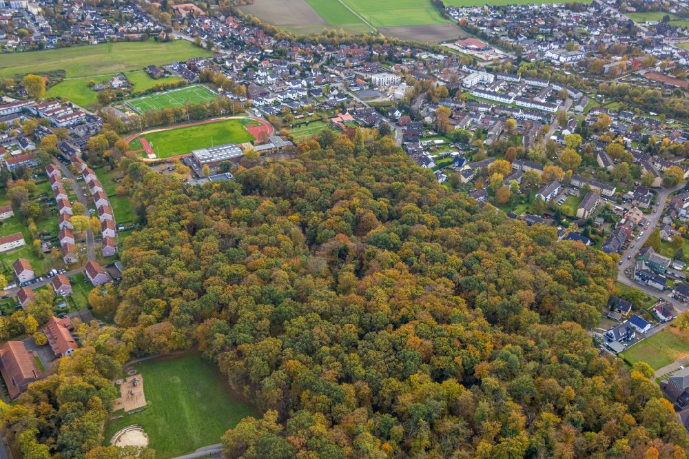 Luftbild Bergkamen - Herbstluftbild Baumspitzen in einem Waldgebiet am Römerpark Bergkamen in Bergkamen im Bundesland Nordrhein-Westfalen, Deutschland
