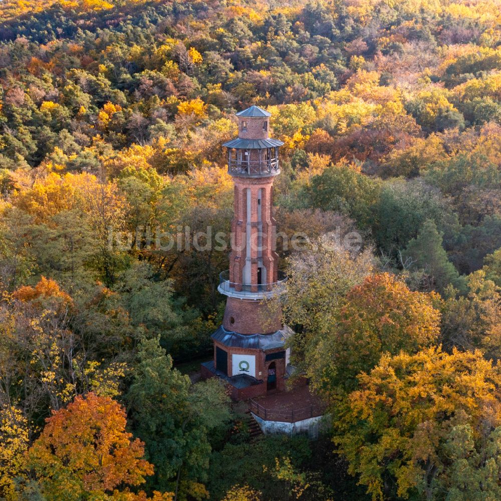 Luftaufnahme Bad Freienwalde (Oder) - Herbstluftbild Bauwerk des Aussichtsturmes Aussichtsturm auf dem Galgenberg in Bad Freienwalde (Oder) im Bundesland Brandenburg, Deutschland