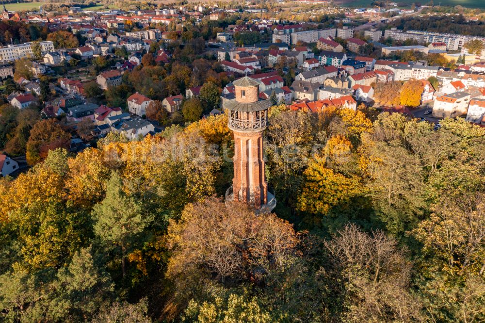 Bad Freienwalde (Oder) von oben - Herbstluftbild Bauwerk des Aussichtsturmes Aussichtsturm auf dem Galgenberg in Bad Freienwalde (Oder) im Bundesland Brandenburg, Deutschland