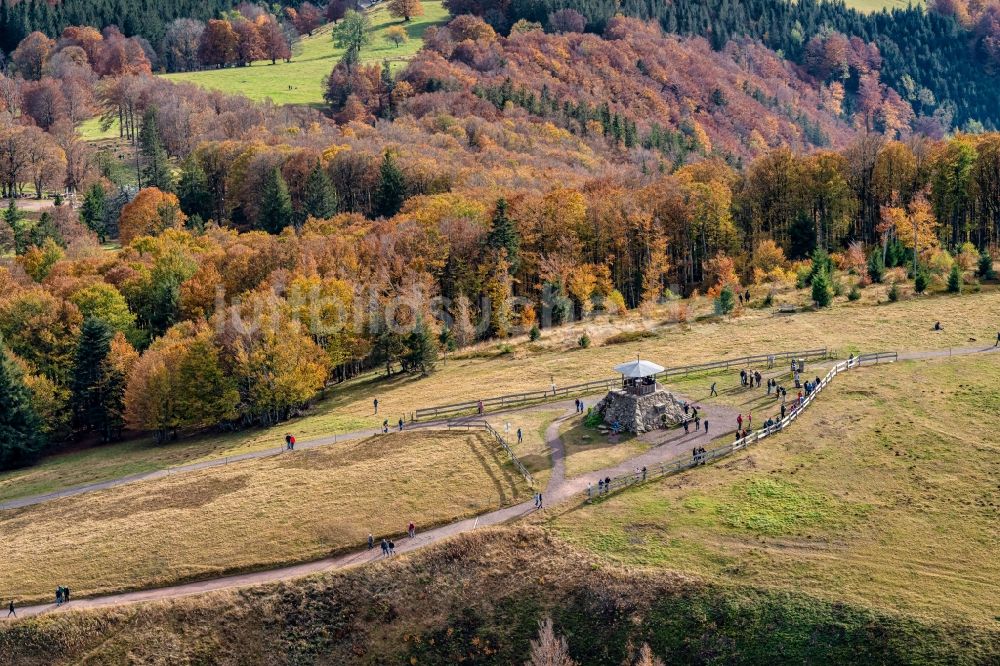 Waldkirch aus der Vogelperspektive: Herbstluftbild Berglandschaft Berggipfel des Kandel in Waldkirch im Bundesland Baden-Württemberg, Deutschland