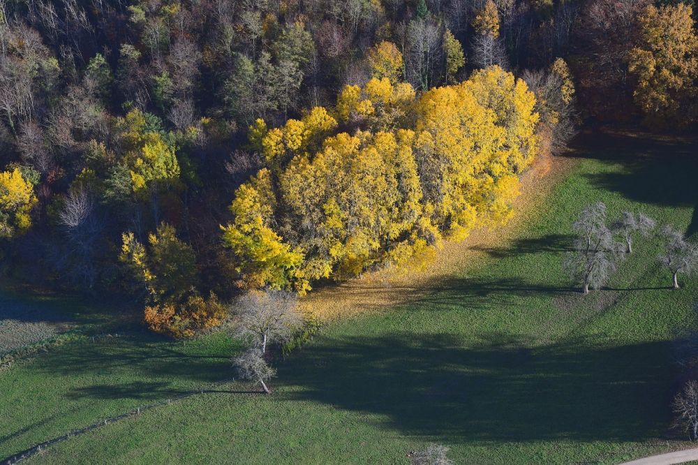 Luftbild Schopfheim - Herbstluftbild mit bunten Laubbaum- Baumspitzen in einem Waldgebiet bei Schopfheim im Bundesland Baden-Württemberg, Deutschland