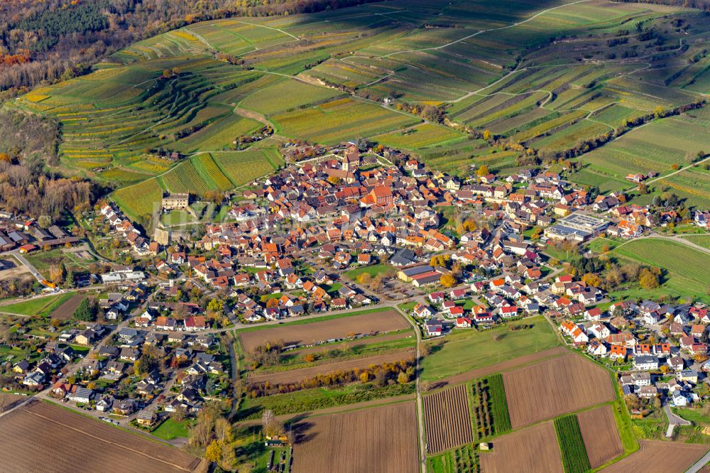 Burkheim aus der Vogelperspektive: Herbstluftbild Dorf - Ansicht in Burkheim Gemeinde Vogtsburg am Kaiserstuhl im Bundesland Baden-Württemberg, Deutschland