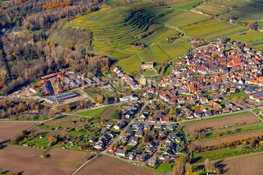 Luftbild Burkheim - Herbstluftbild Dorf - Ansicht in Burkheim Gemeinde Vogtsburg am Kaiserstuhl im Bundesland Baden-Württemberg, Deutschland