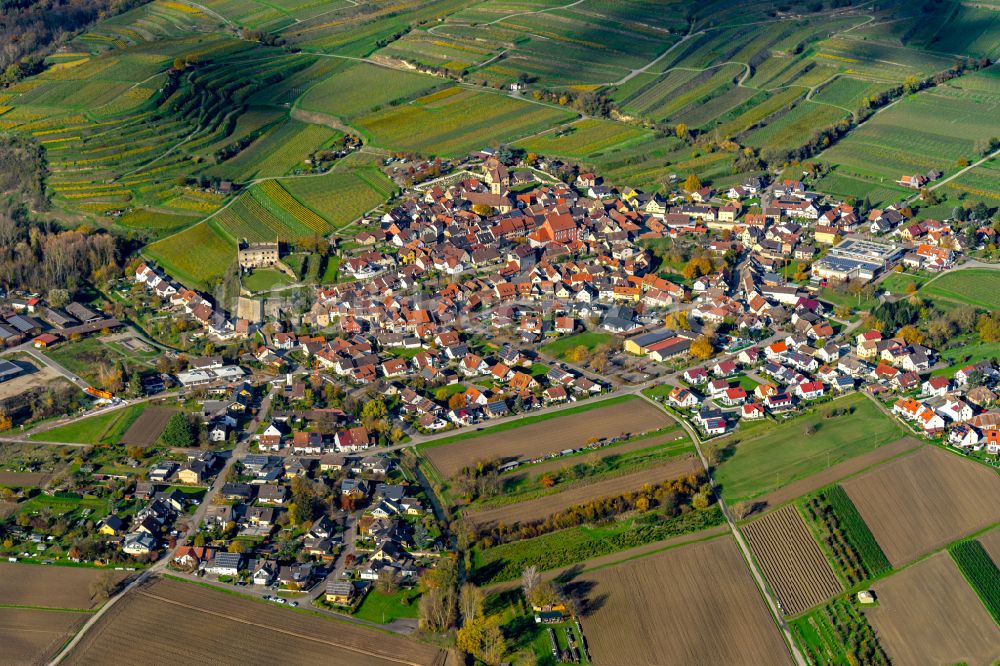 Luftaufnahme Burkheim - Herbstluftbild Dorf - Ansicht in Burkheim Gemeinde Vogtsburg am Kaiserstuhl im Bundesland Baden-Württemberg, Deutschland