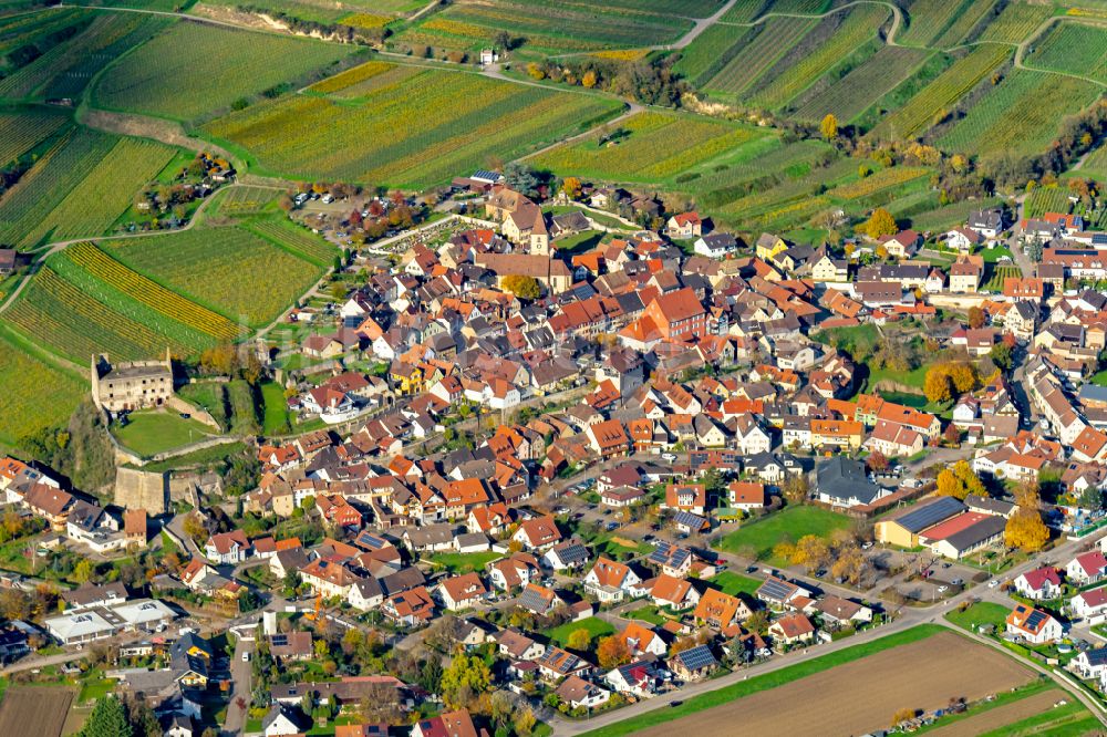 Burkheim von oben - Herbstluftbild Dorf - Ansicht in Burkheim Gemeinde Vogtsburg am Kaiserstuhl im Bundesland Baden-Württemberg, Deutschland