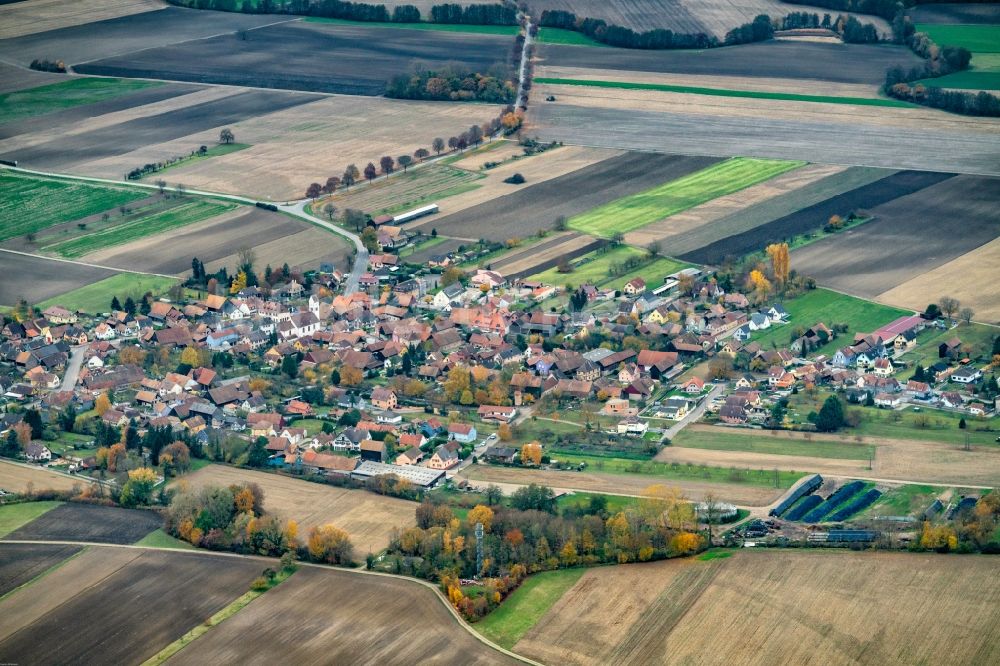 Luftbild Diebolsheim - Herbstluftbild Dorf - Ansicht am Rande von Feldern in Diebolsheim im Elsass, Frankreich