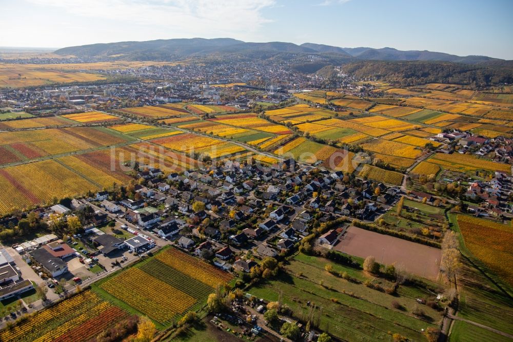 Ungstein aus der Vogelperspektive: Herbstluftbild der Dorf - Ansicht am Rande von Feldern in Ungstein im Bundesland Rheinland-Pfalz, Deutschland